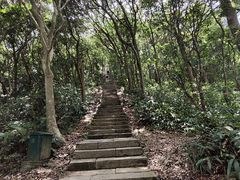 -梧桐山风景名胜区