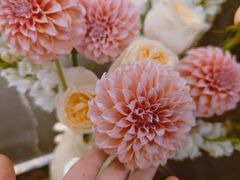 -双季花艺园艺市场(浦东店)