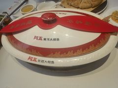 -阿五黄河大鲤鱼(英协路店)