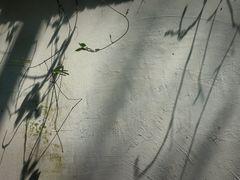 -韬光茶庵