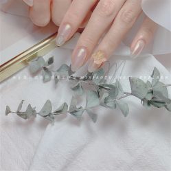 -米小兔美甲美睫