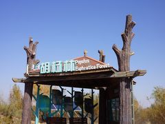 -亿利库布其七星湖沙漠生态旅游区