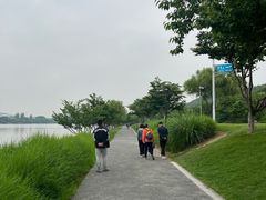 -羊山湖公园