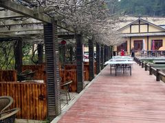 -黄陂区野村谷景区