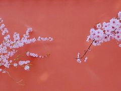 -国家植物园