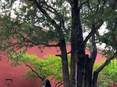 -北京市劳动人民文化宫(太庙)