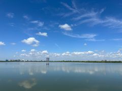 -春花秋色城市公园