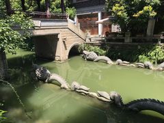 -龙潭水乡