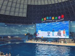 -泉城欧乐堡海洋极地世界
