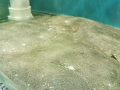 -晓伟海鲜家常菜