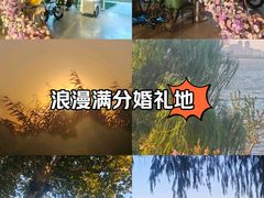 -东湖磨山景区