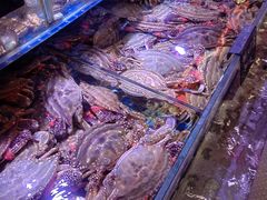 -渔民船说·北塘海鲜·天津菜·海肠捞饭(北塘古镇店)