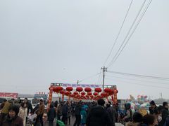 -蒲河大集
