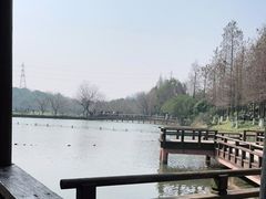 -铭莲·八卦田水上餐厅