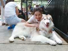 -TrueLove @ Neverland (Husky Cafe)