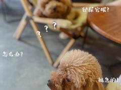 -漫笙舍Manse·咖啡·民宿