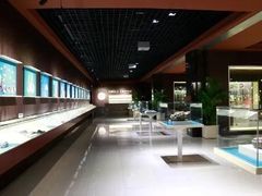 -青岛贝壳博物馆
