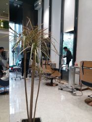点击看大图 -OnHair Salon