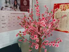 -华兴日语学校(总校)