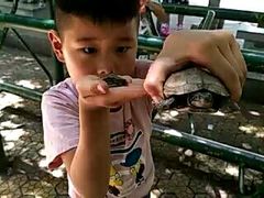 -金罗莎蛋糕(东岳路店)