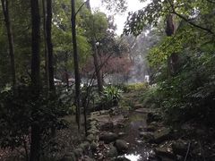 -青城道汤池