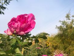 -渔公馆·川菜馆·家宴·生日宴(大地中央广场店)