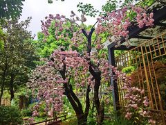-谷咖啡·鲜花绿植花园餐厅