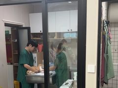 -瑞派宠物医院·犬猫全科·猫友好(宾水西道店)