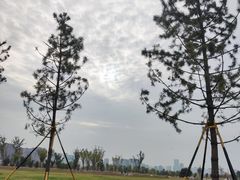 -汉长安城未央宫国家考古遗址公园