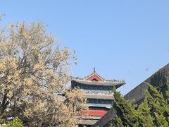 -蓬莱阁景区