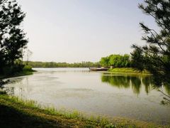 -东郊湿地公园