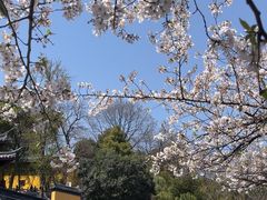 -鸡鸣寺