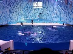 -珠海长隆海洋王国