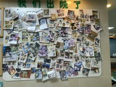 -半岛宠物医院24小时·内窥镜·牙科·碎石中心(府城大道店)