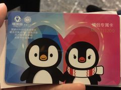 门票&nbsp;情侣卡-成都浩海立方海洋公园