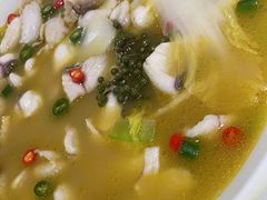 -青花椒花椒鱼(合生汇店)