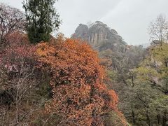 -秦岭终南山世界地质公园翠华山景区