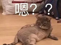 -小小河边鱼(天润城店)