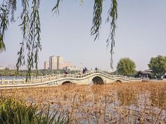-济南大明湖景区