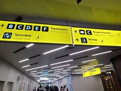 -谢列梅捷沃国际机场