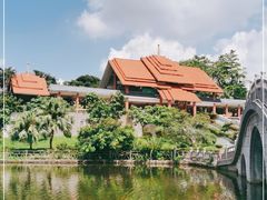 -大屏嶂森林公园
