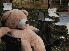 -南宁良凤江国家森林公园