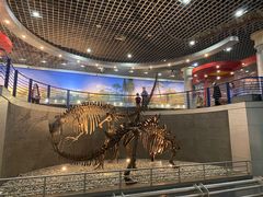 -国家自然博物馆