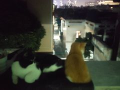 -顺德南宏海立方海洋公园