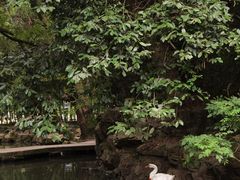 -兰亭风景区