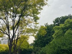 -南翠屏公园