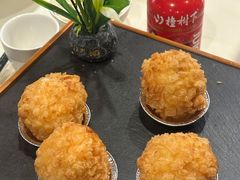 -丁老爷子苏香圆