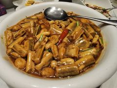 辣烧活鳗林-开海·红岛海鲜虾水饺(石老人店)
