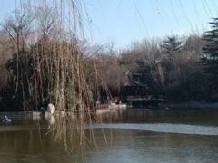-西安市长乐公园