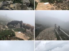 -灵山